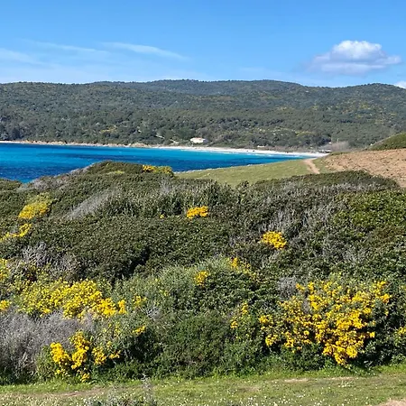 Marinella Route Des Sanguinaires Corse アジャクシオ