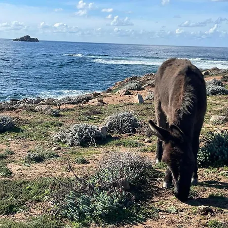 Marinella Route Des Sanguinaires Corse Apartmán Ajaccio (Corsica)