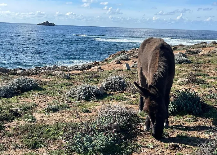 Marinella Route Des Sanguinaires Corse Apartment Ajaccio (Corsica)